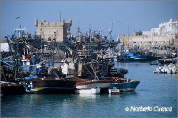 072marruecos 2003-essaouira-puerto